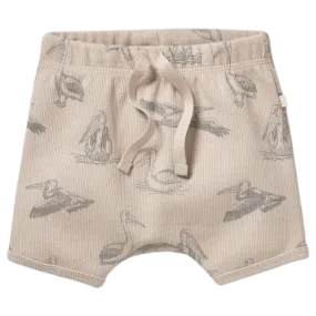 Tie Front Rib Short - Little Pelican